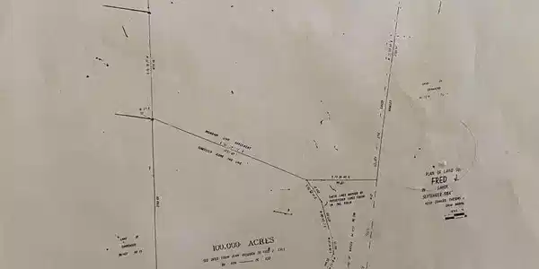 Image 4: Malloy.4