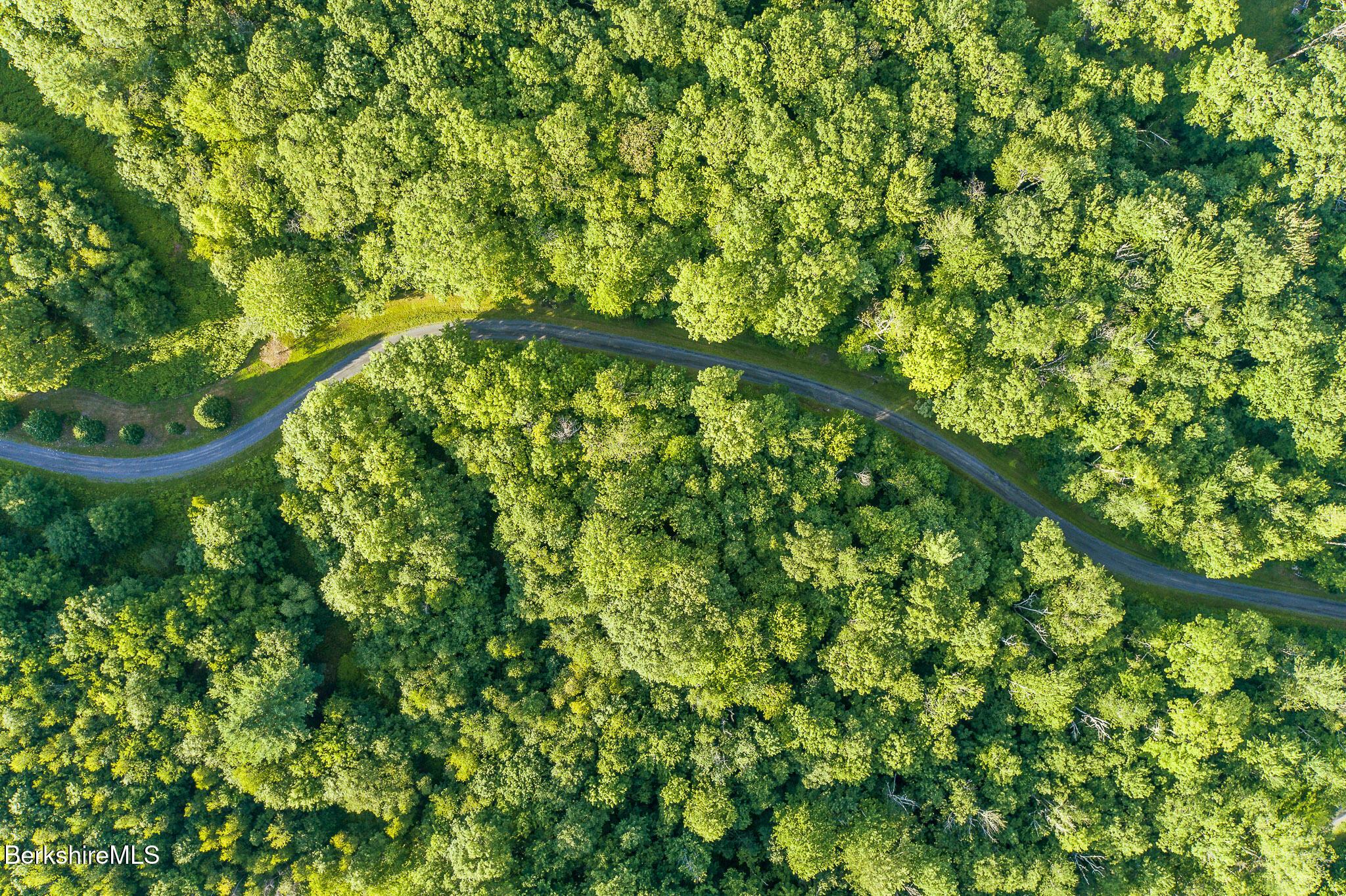Image 4: aerial of meandering private driveway