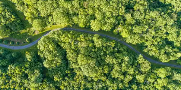 Image 4: aerial of meandering private driveway