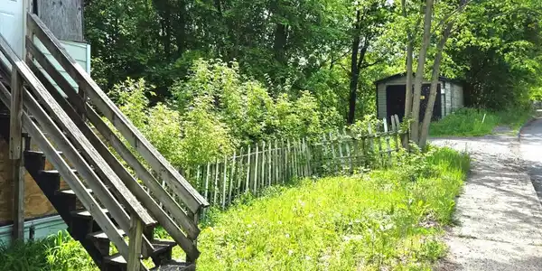 Image 2: Walnut-shed