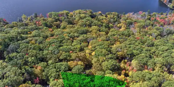 Image 4: Drone Image