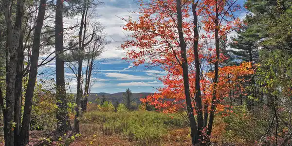 1570 B Washington Mountain Road