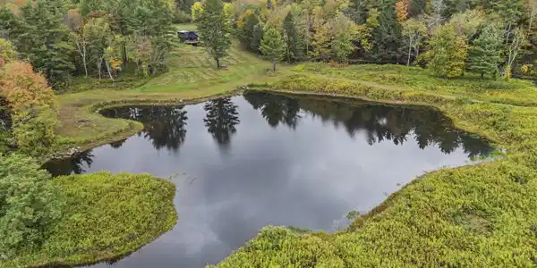 Image 2: Pond
