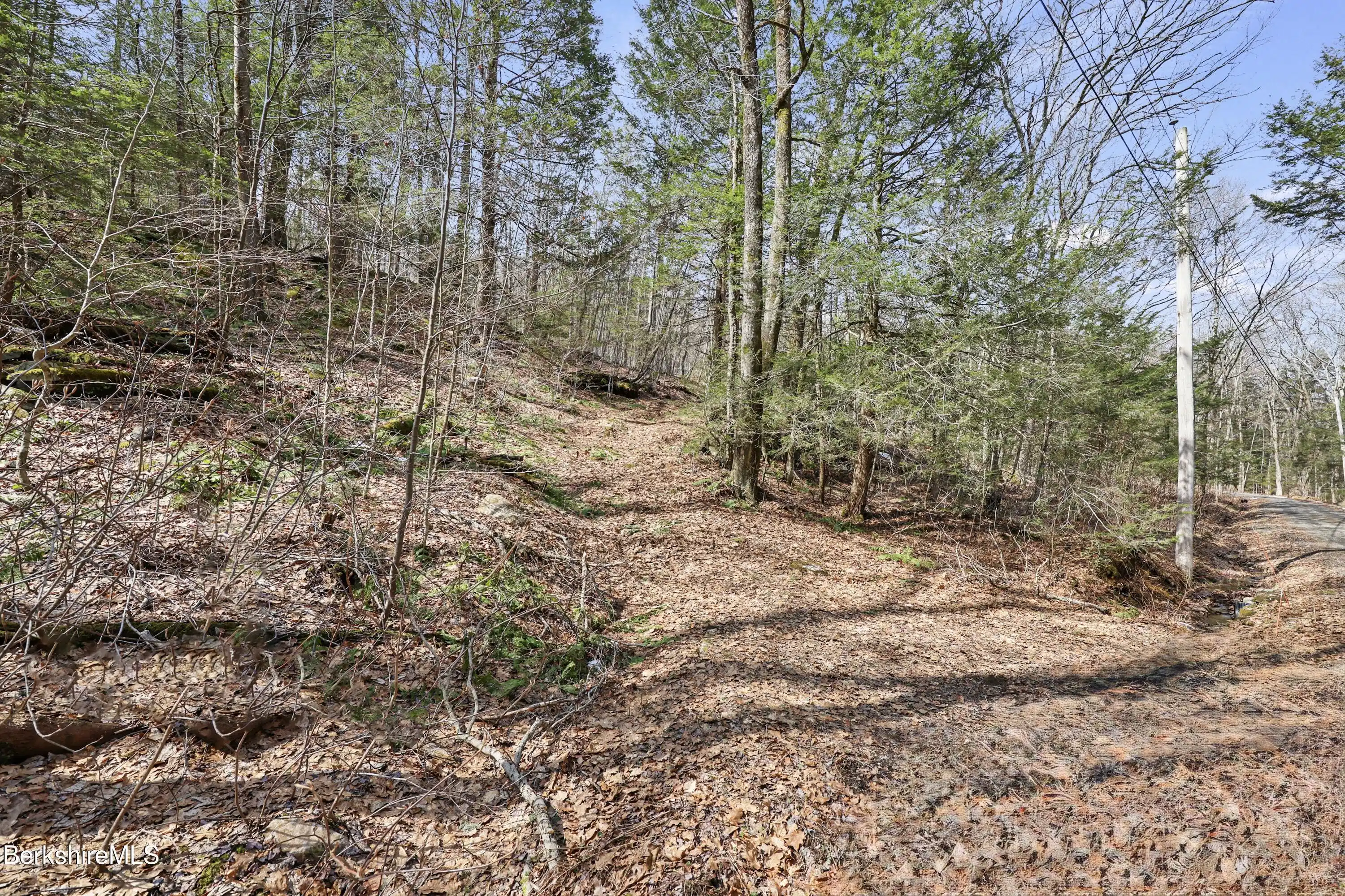 Image 1: Ground view