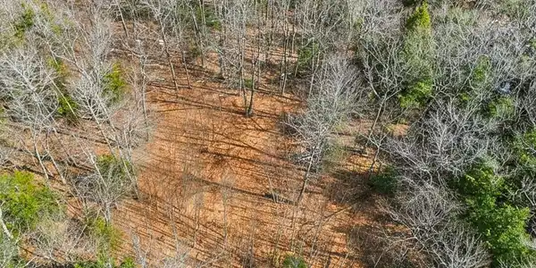 Image 2: Aerial view