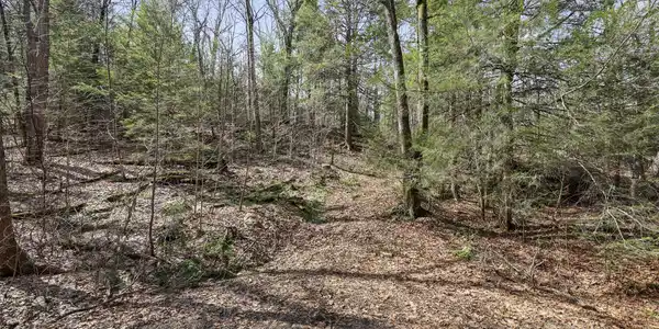 Image 3: Ground view