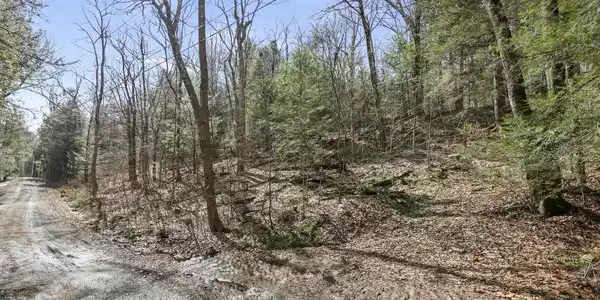 Image 4: Ground view