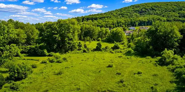 Image 4: Pasture