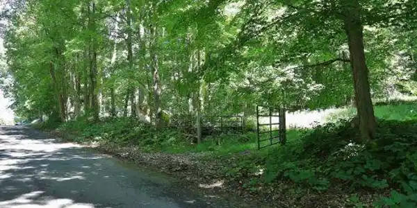 Image 3: Street View