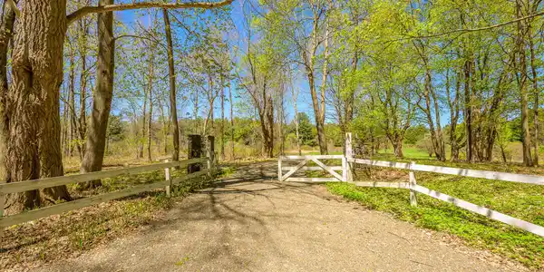 Image 3: Entry off Mitchell St
