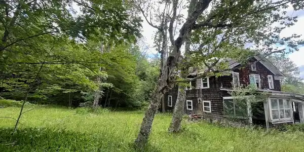 Image 2: thumbnail_IMG_9020