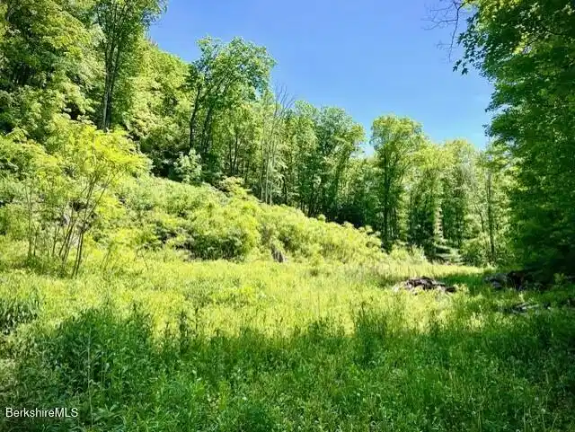 Image 1: PHOTO 3
