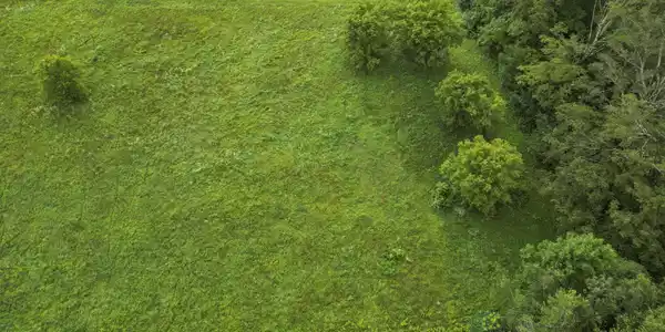 Image 2: Aerial View