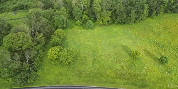 Image 3: Aerial View