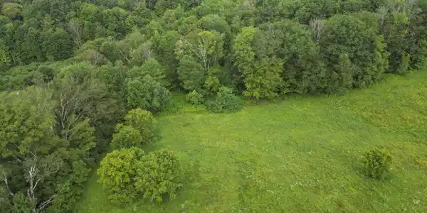 Image 4: Aerial View
