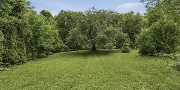 Image 4: Backyard