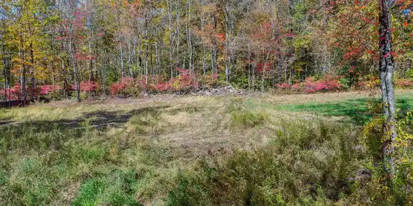 Image 4: Cleared area near road