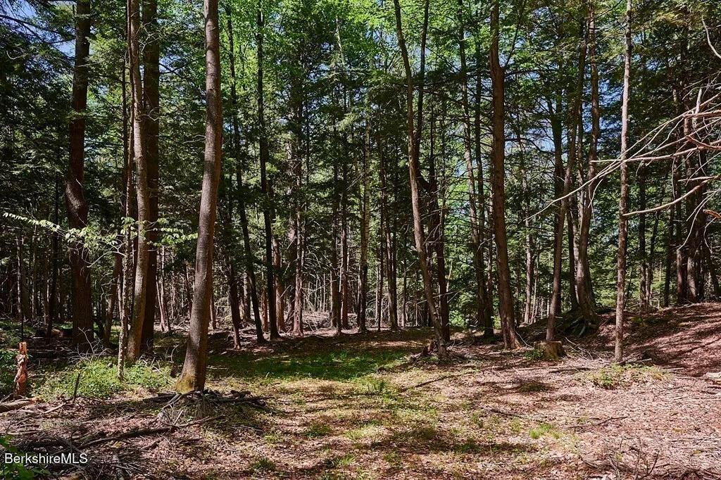 Image 2: 9eb34b448e5c049cf8fef8c0e71fe8c4-full