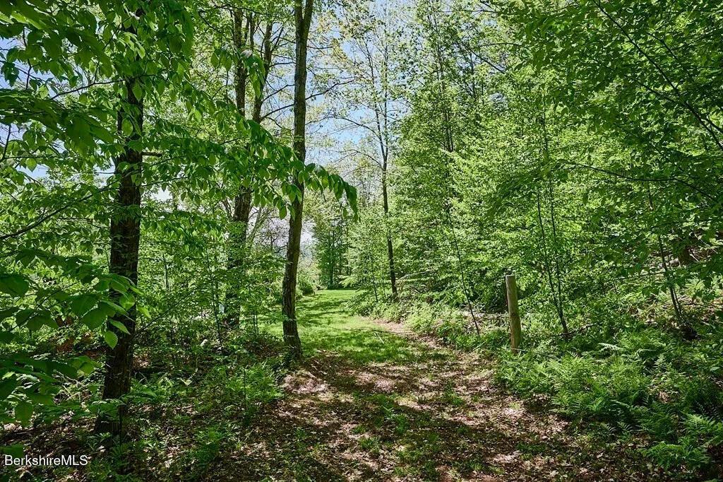 Image 3: 46fac8a1323987b8656340280735a83e-full