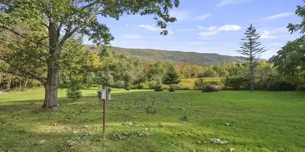 Image 4: Back Yard