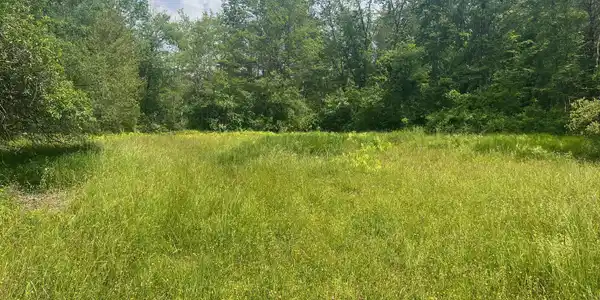 190 Fox Rd