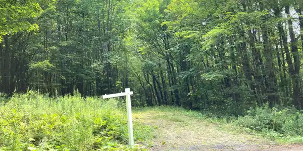 Monroe Rd