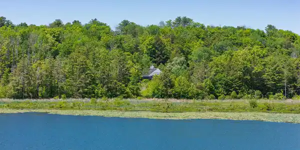 Image 3: Lily Pond