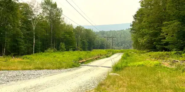 Image 4: Monroe Rd-4-easement