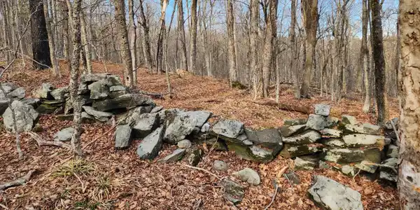 Image 4: Back wall