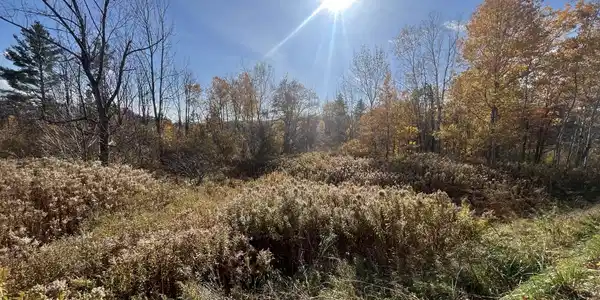 Parcel 1 Mohawk Trail
