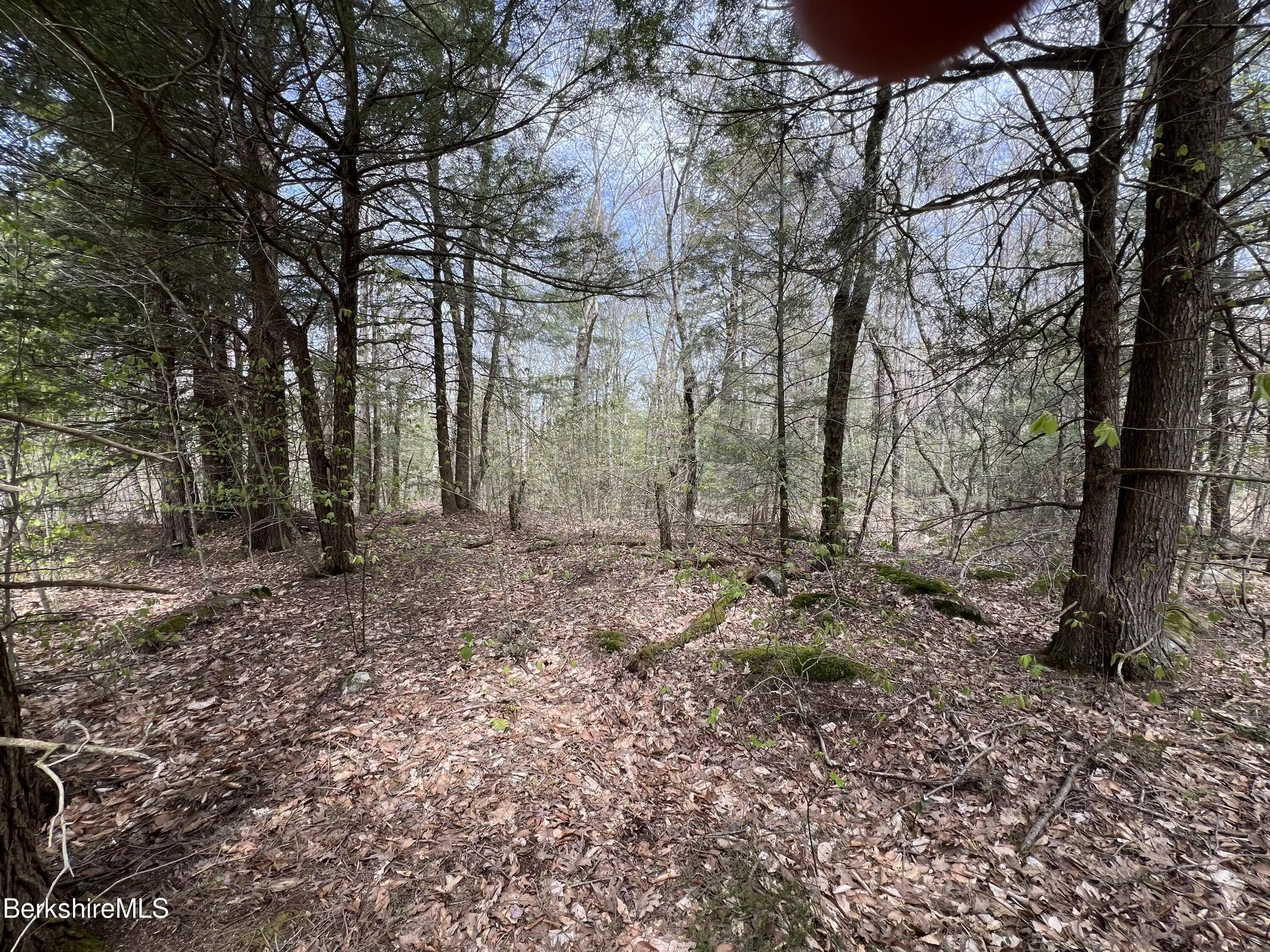 Image 1: L19 SKYLINE RIDGE ROAD