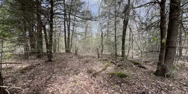Lot19 Skyline Ridge Rd