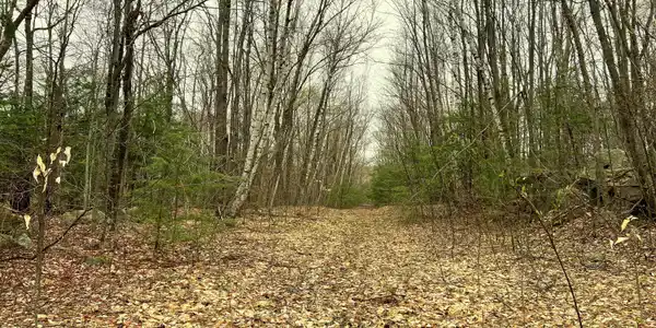 Image 4: L19 SKYLINE RIDGE ROAD