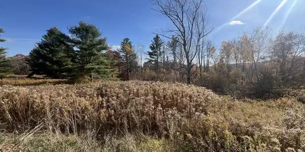 Parcel 2 Mohawk Trail