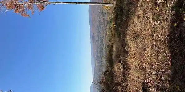 106.0-0007 Henderson Rd