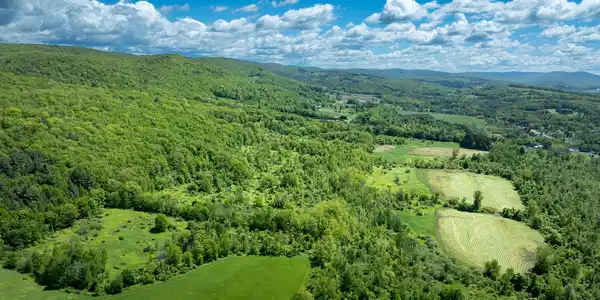 Image 3: Aerial View South