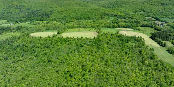 Image 4: Aeriel View East