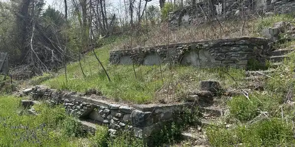 Image 3: terrace gardens