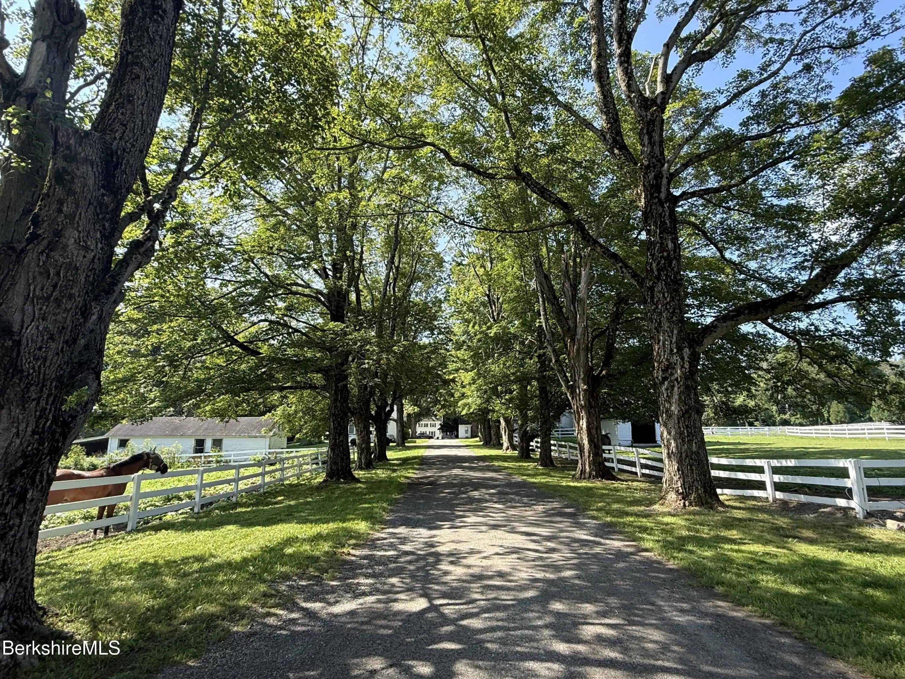 Image 1: Beautiful path