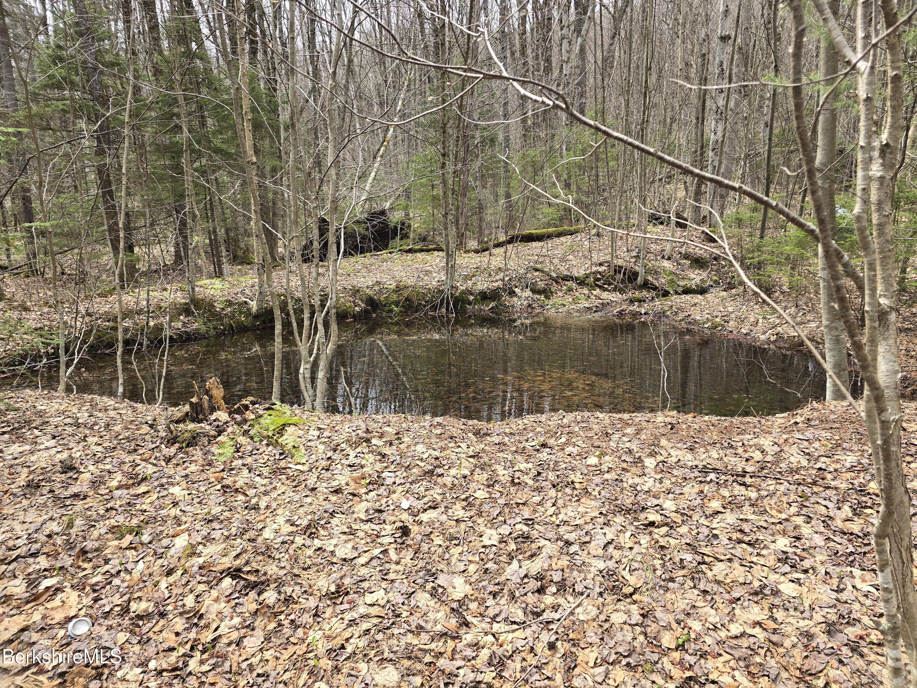 Image 1: pond