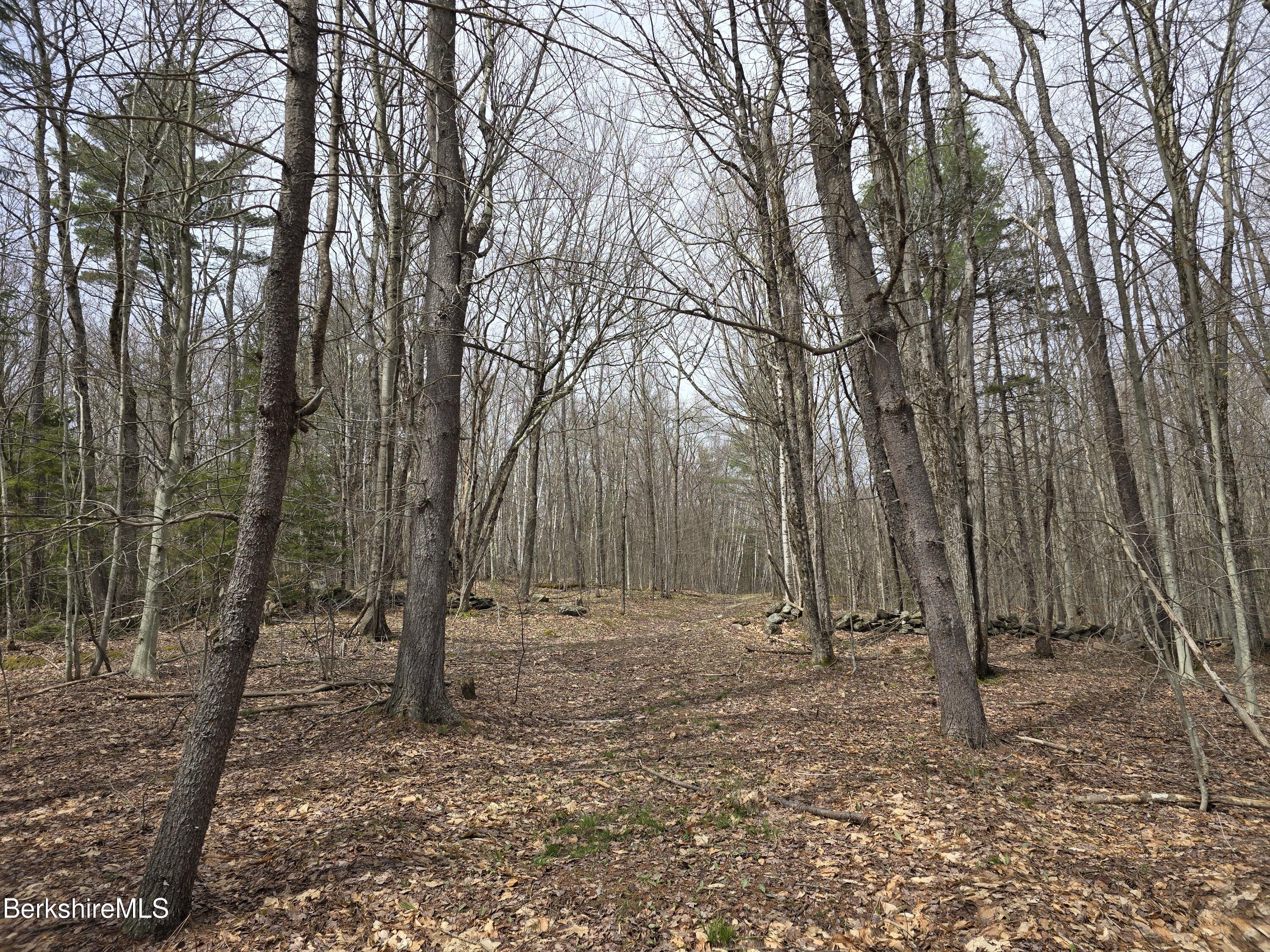Image 3: 20260421_142156