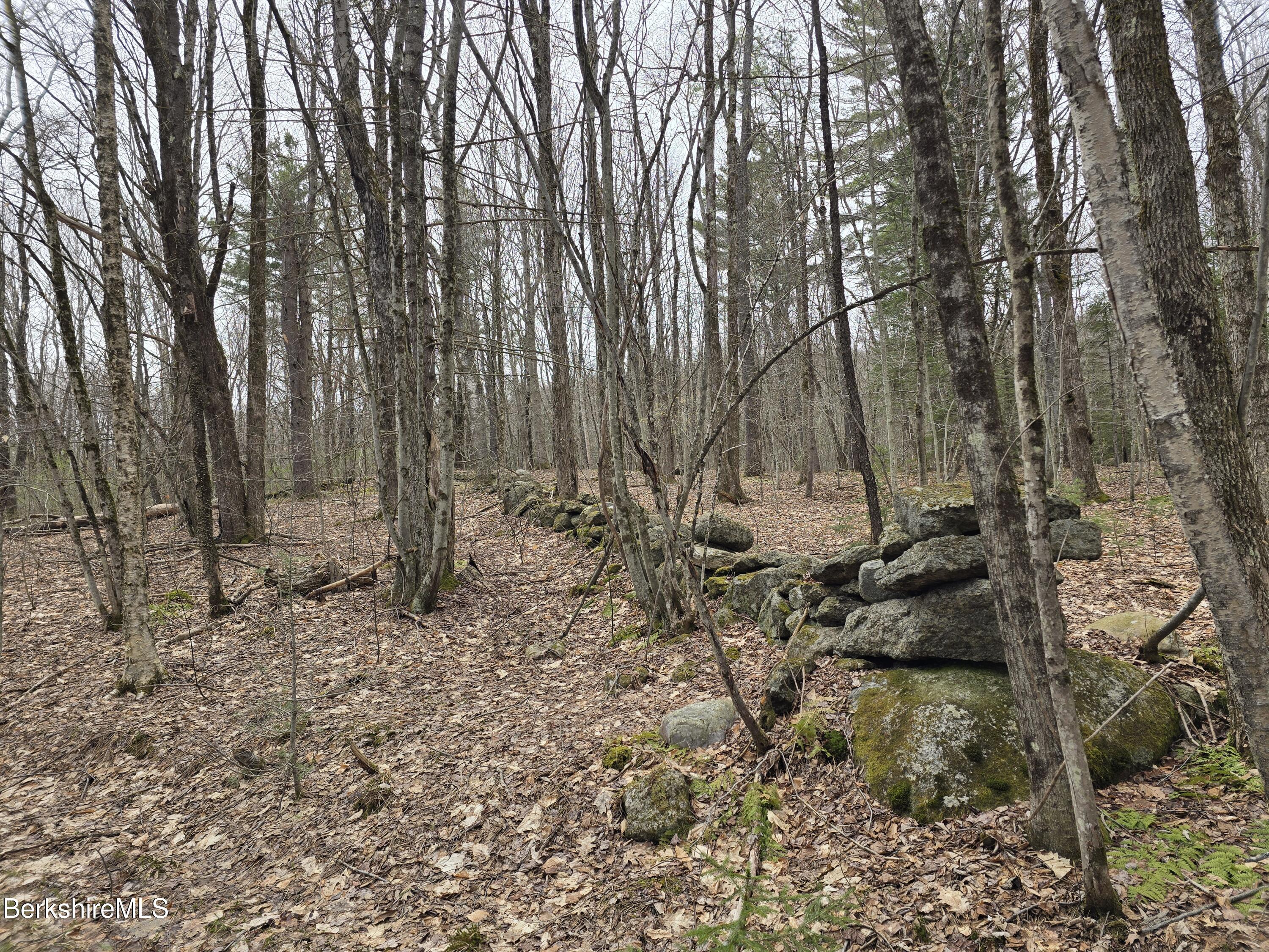 Image 4: 20260421_140858