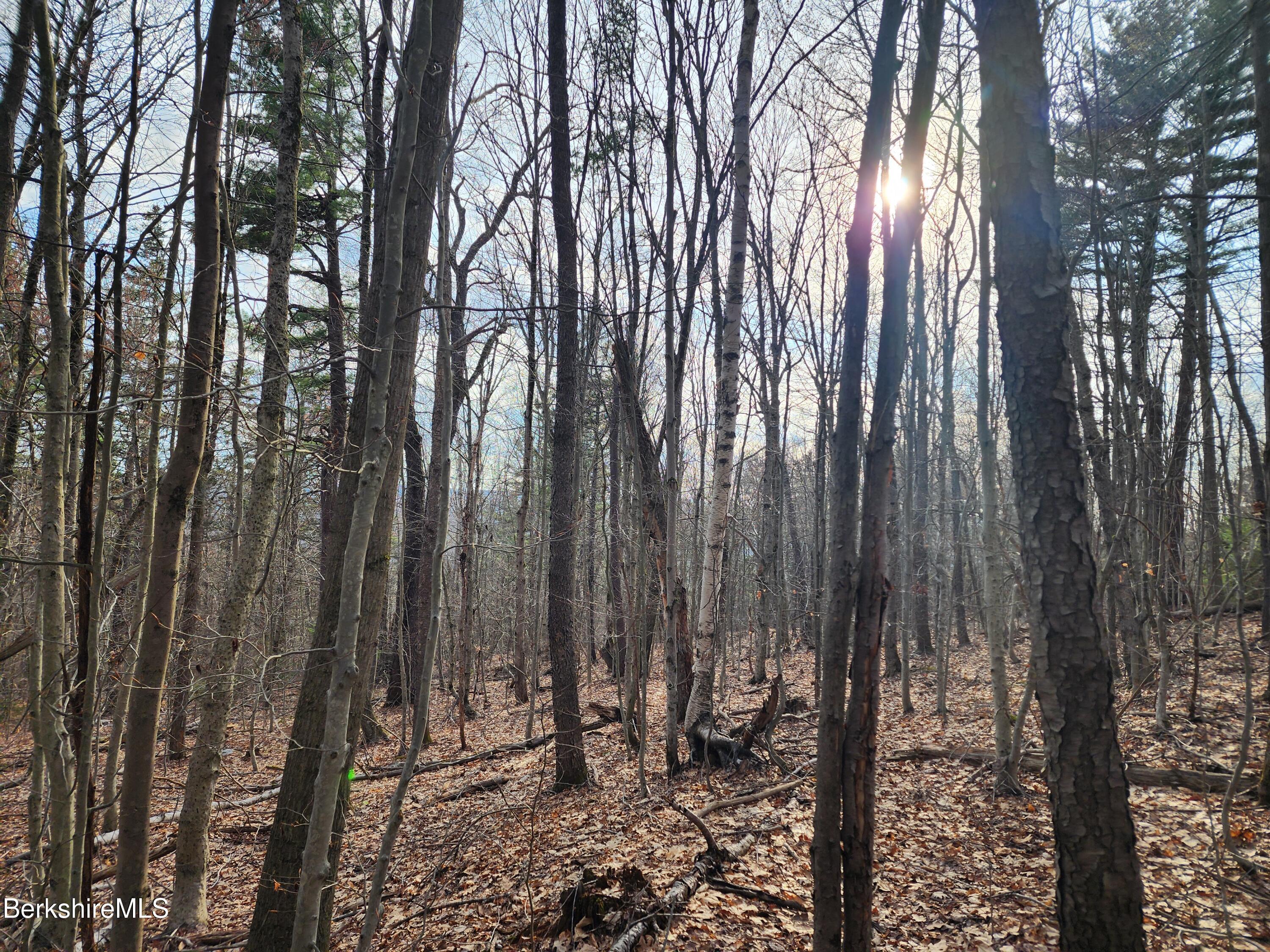 Image 2: Land