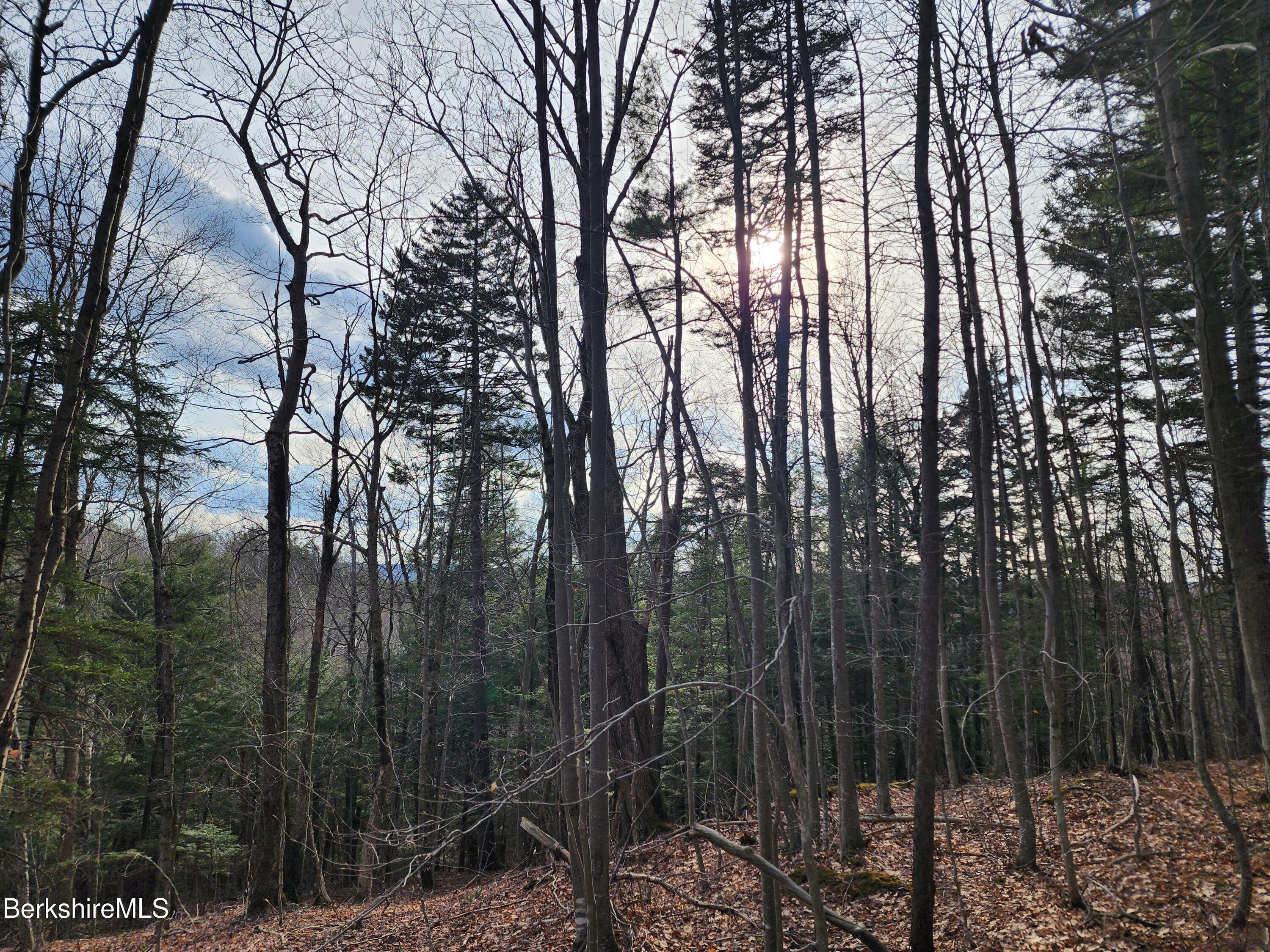 Image 3: Land