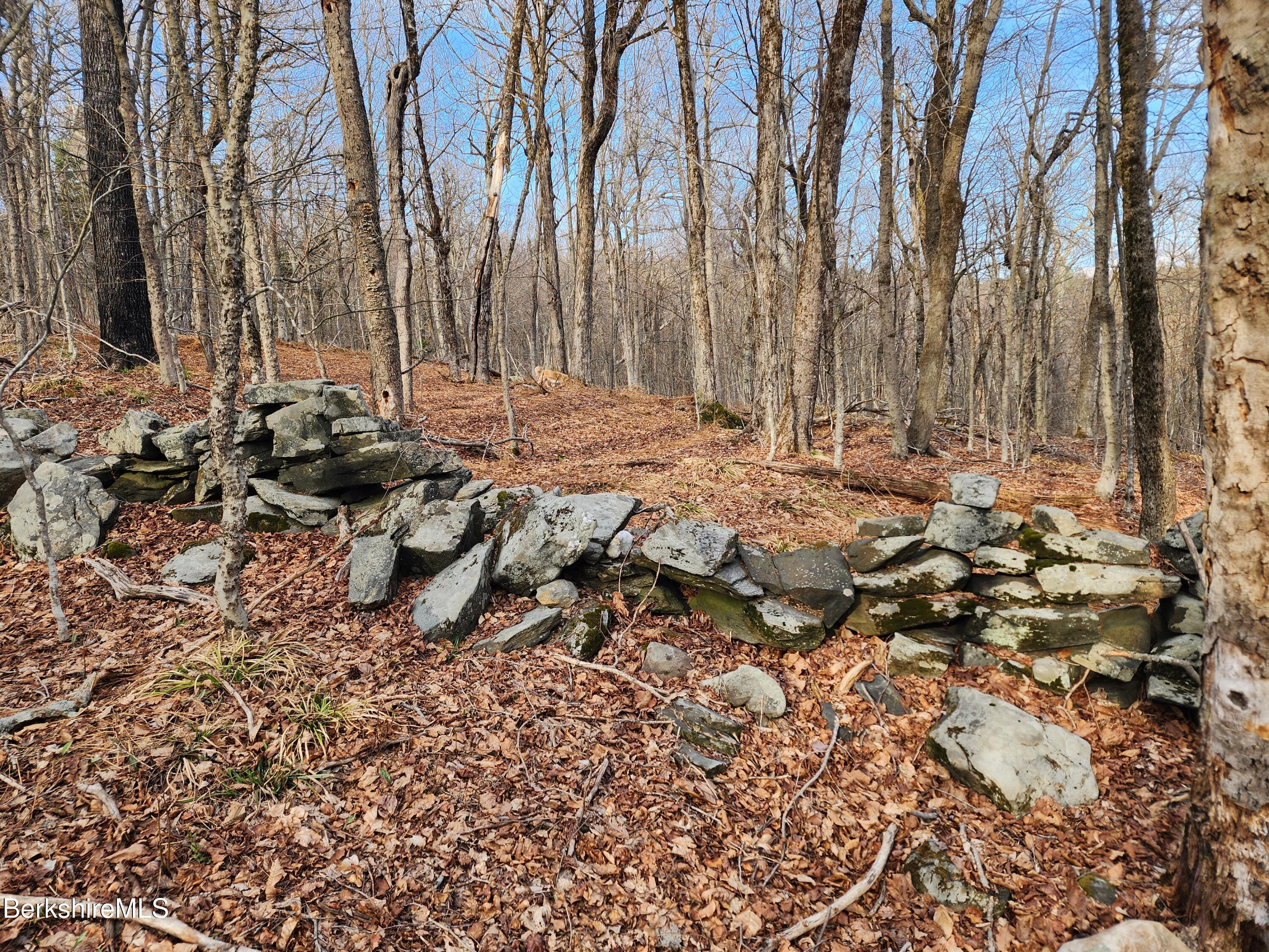 Image 4: Back wall