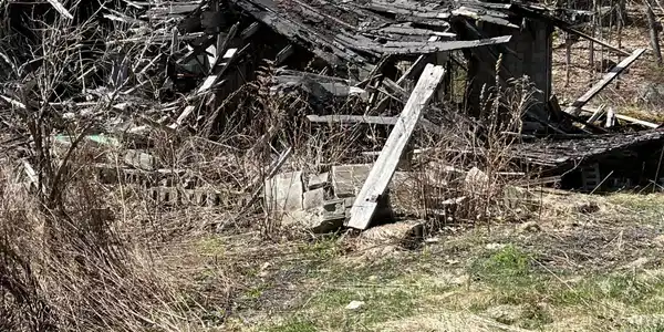 Image 2: Barn