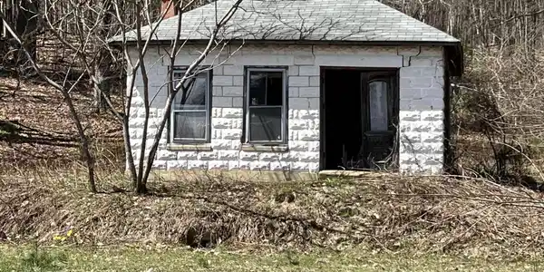 Image 3: Chicken Coop
