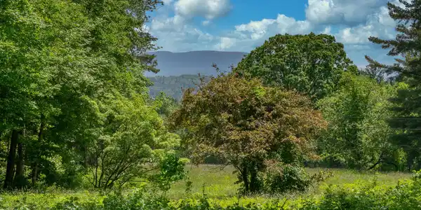 Image 2: THE VIEW