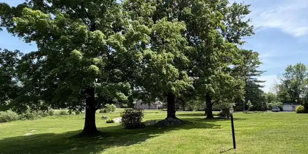 Image 4: front yard .