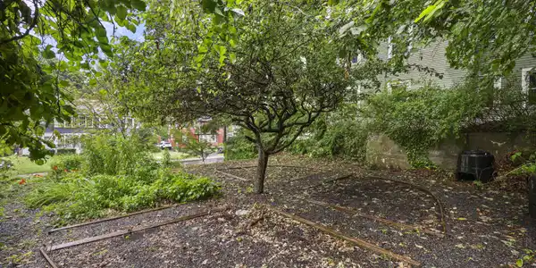 Image 4: Back Yard
